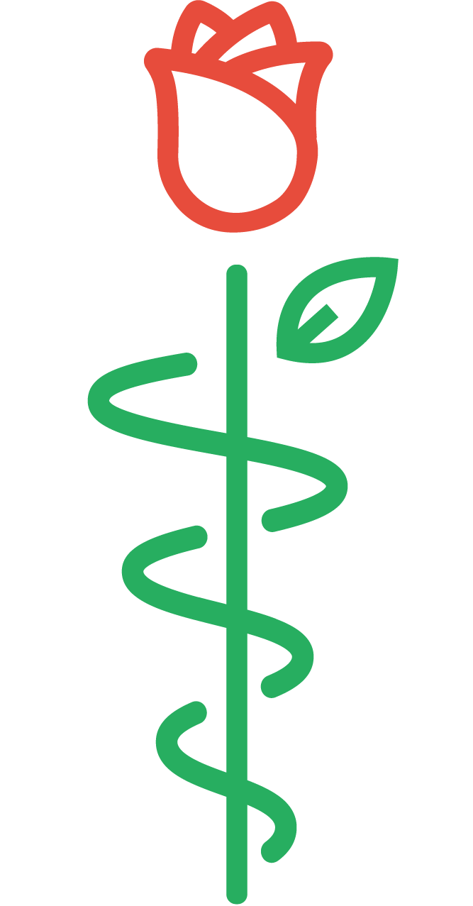 logo cabinet infirmier des roses sans texte